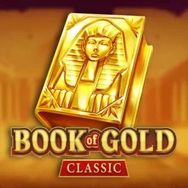 game logo by Playson on whamoo-casino.at